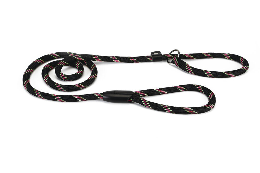 Beeztees - Sliplijn - Hondenriem - zwart - 1.3 cm - 170 cm