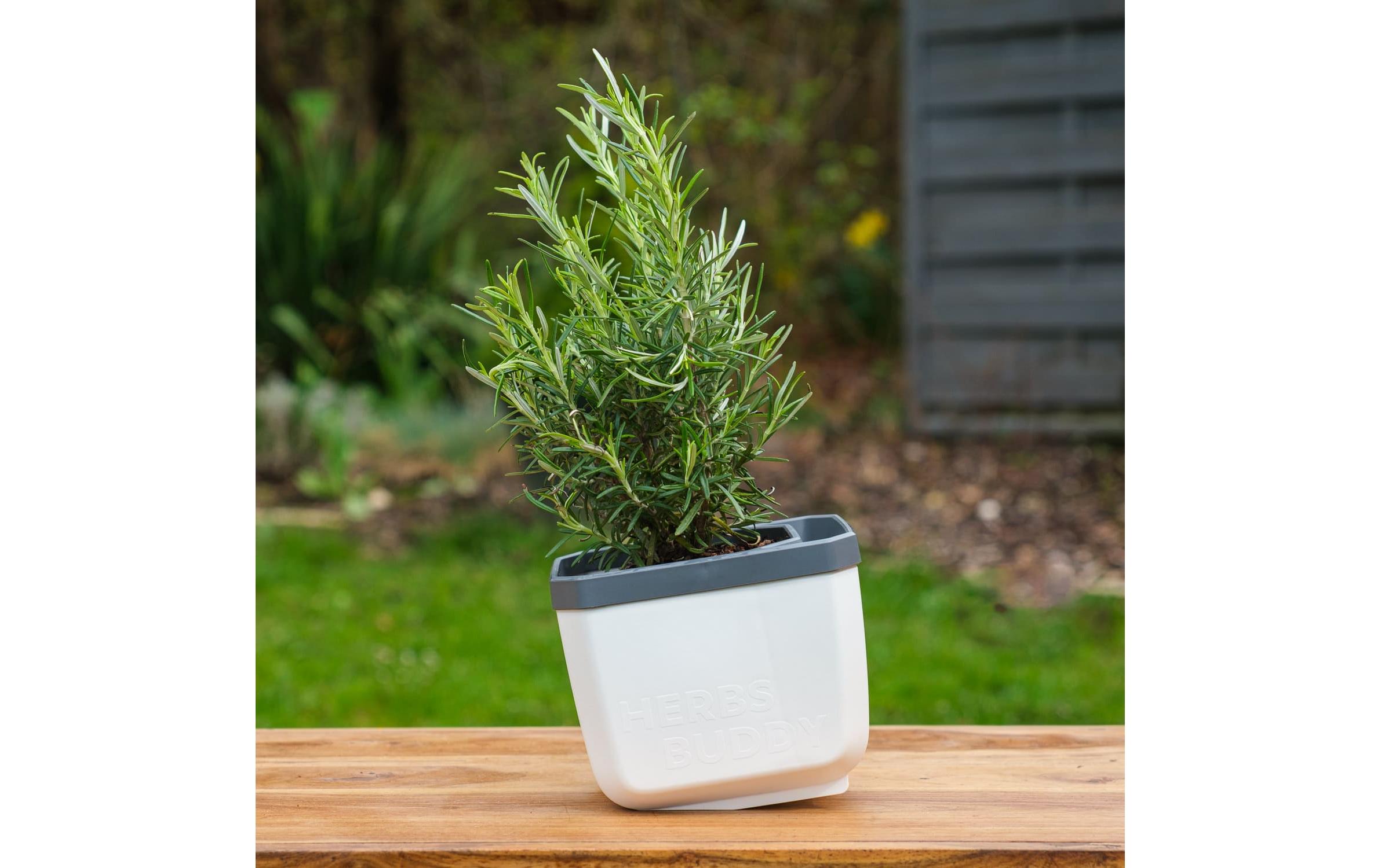 HERBS BUDDY Kräutertopf 3er Set WeissKräutertopf mit Wasserreservoir und Kippfunktion