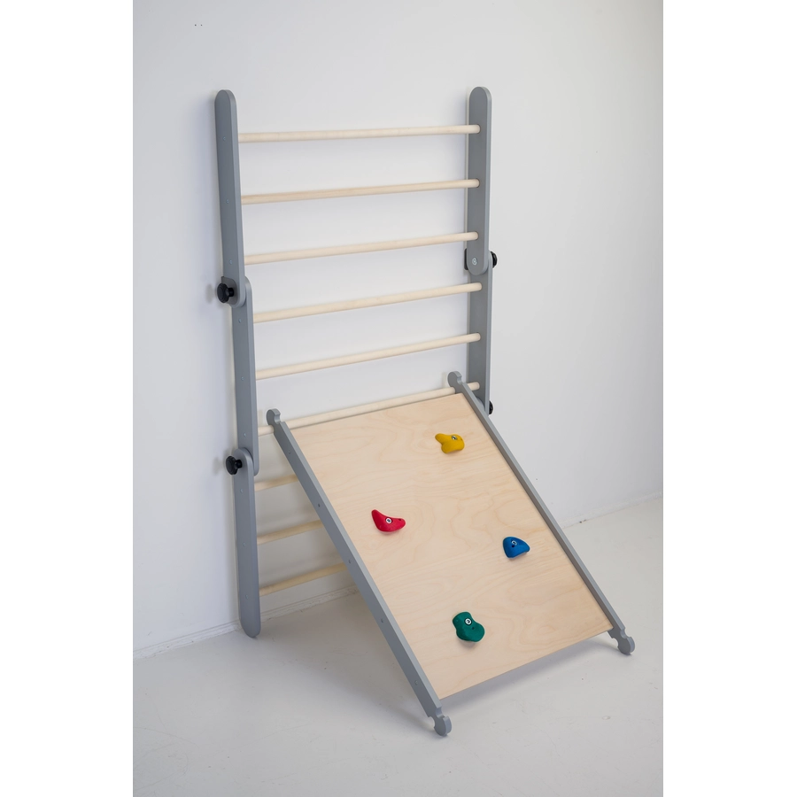Family-SCL Rampe 2-in-1 grau
