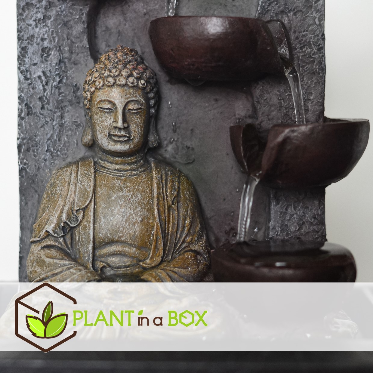 Bonsaï avec système d'eau - set de 2 - bouddha - hauteur 25-35cm