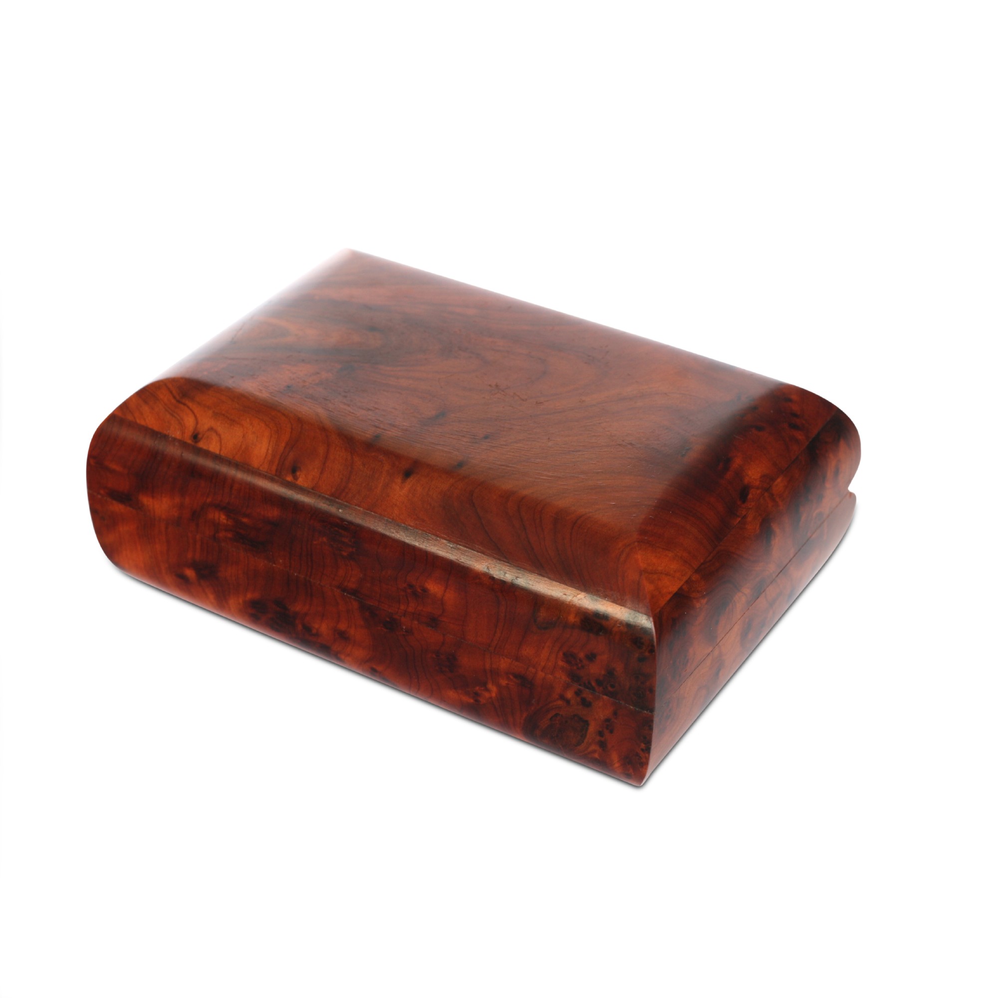 Thuja Box von fischer's lagerhaus