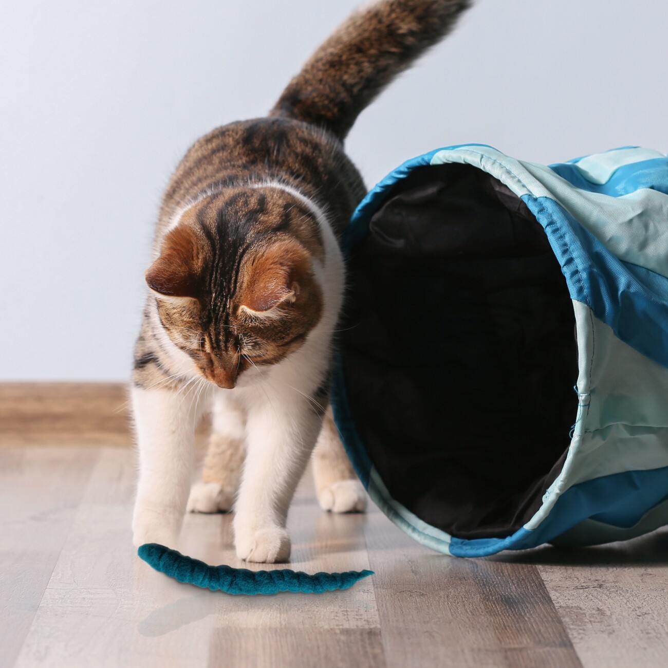 Kater Kasimir 3 Filzwürmchen (handgerollt) aus Schurwolle + 1 Mini-Flasche Katzenminze-Spray