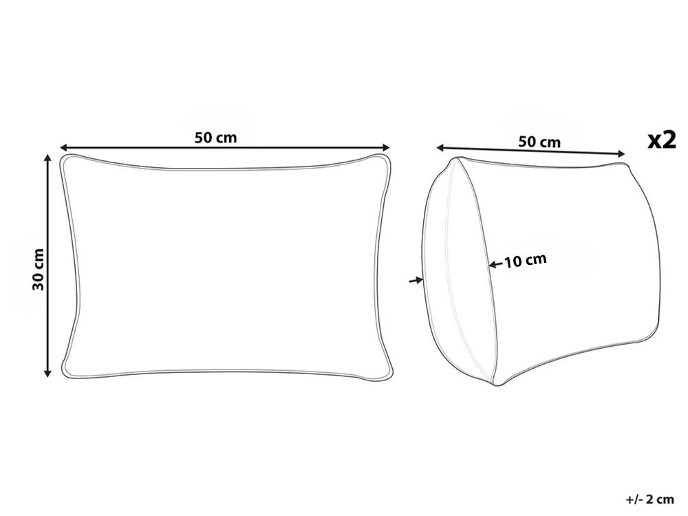 Set van 2 sierkussens BELLE Fluweel 30 x 50 cm Lichtbeige effen