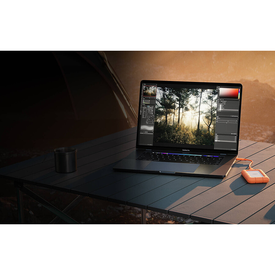 LaCie Rugged Mini SSD 4 To