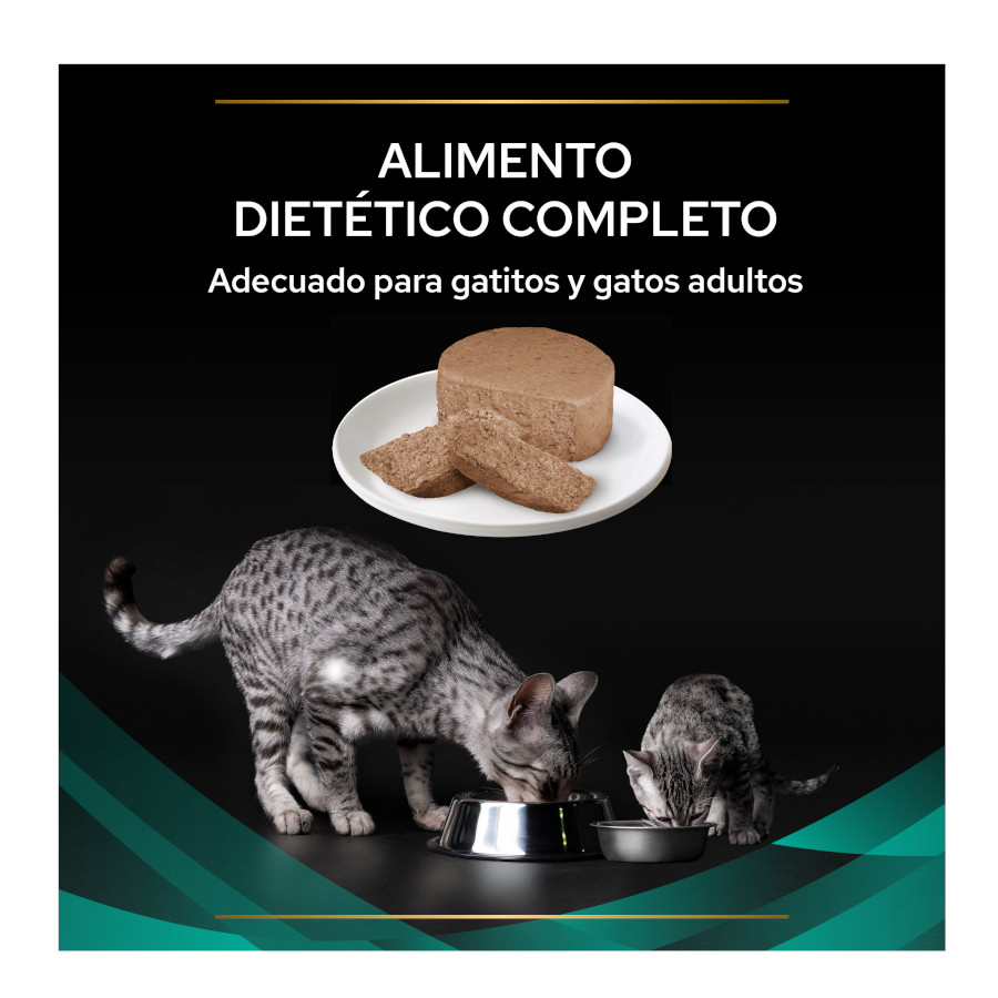 Pro Plan Veterinary Diets Gastrointestinal em Latas para Gatos