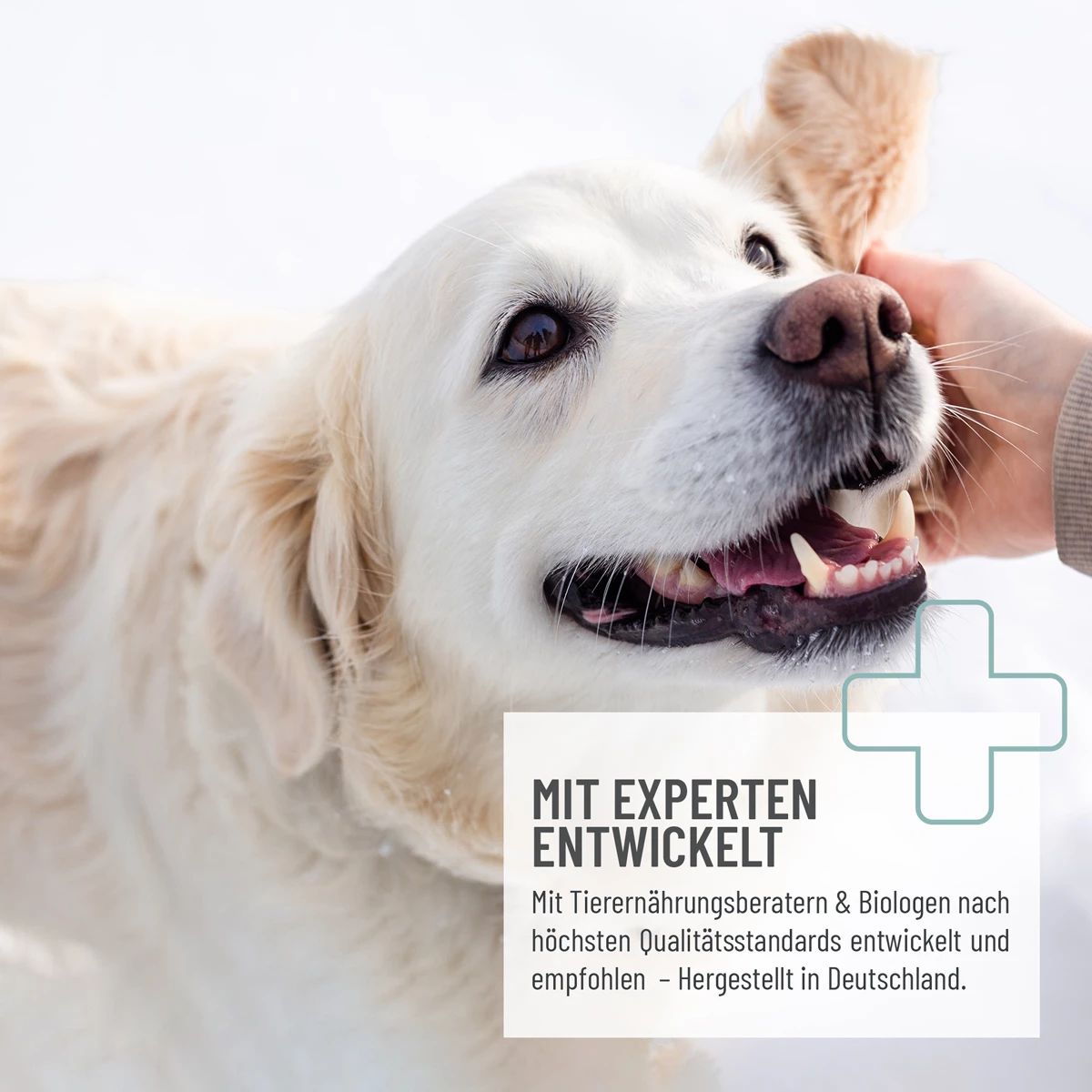 Augenpflege Liquid - ReaVET