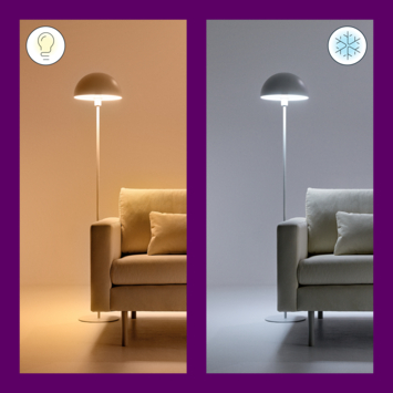 WiZ Connected LED peer E27 13 mat kleurlicht dimbaar