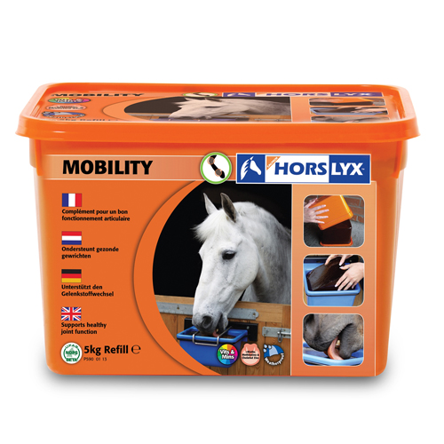 Horslyx Liksteen