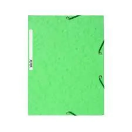 Exacompta 55513E Sammelmappe, lindgrün