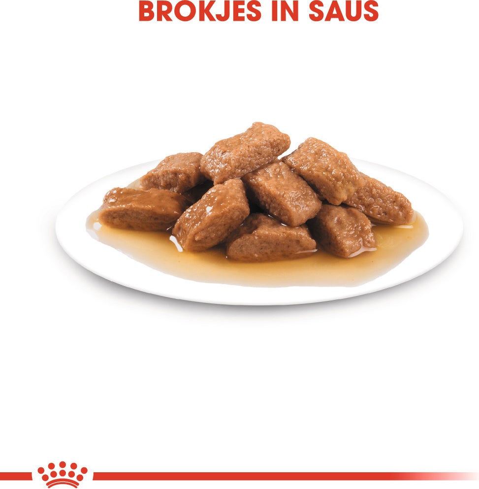 Royal Canin hondenvoer in saus Medium Ageing 140 g 10 stuks