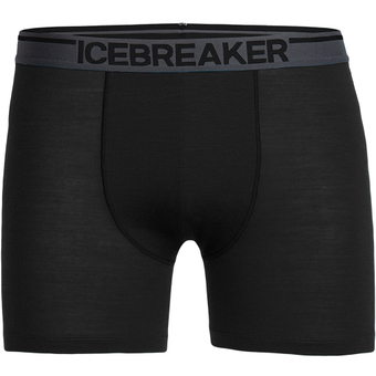 Icebreaker Merino Anatomica Boxers Funktionsshorts Black Herren