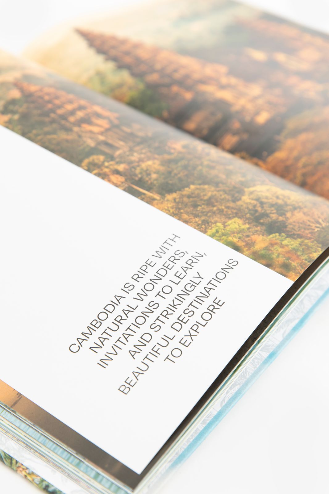 Boek Palmtree Destinations