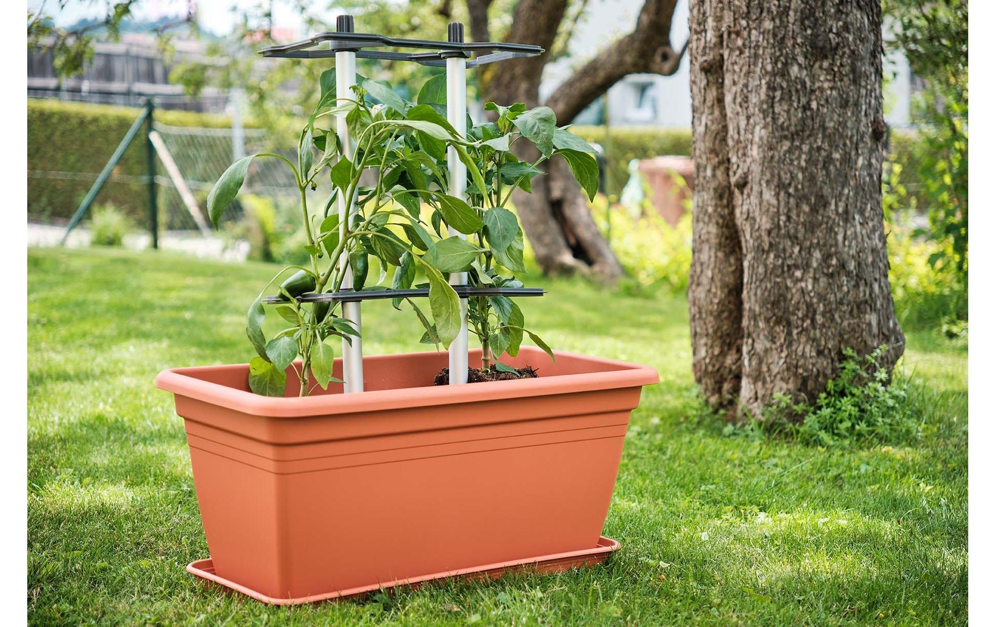 Gusta Garden Rankhilfe »CHILI BUDDY Rankhilfe für Chilis & Paprika Silber«