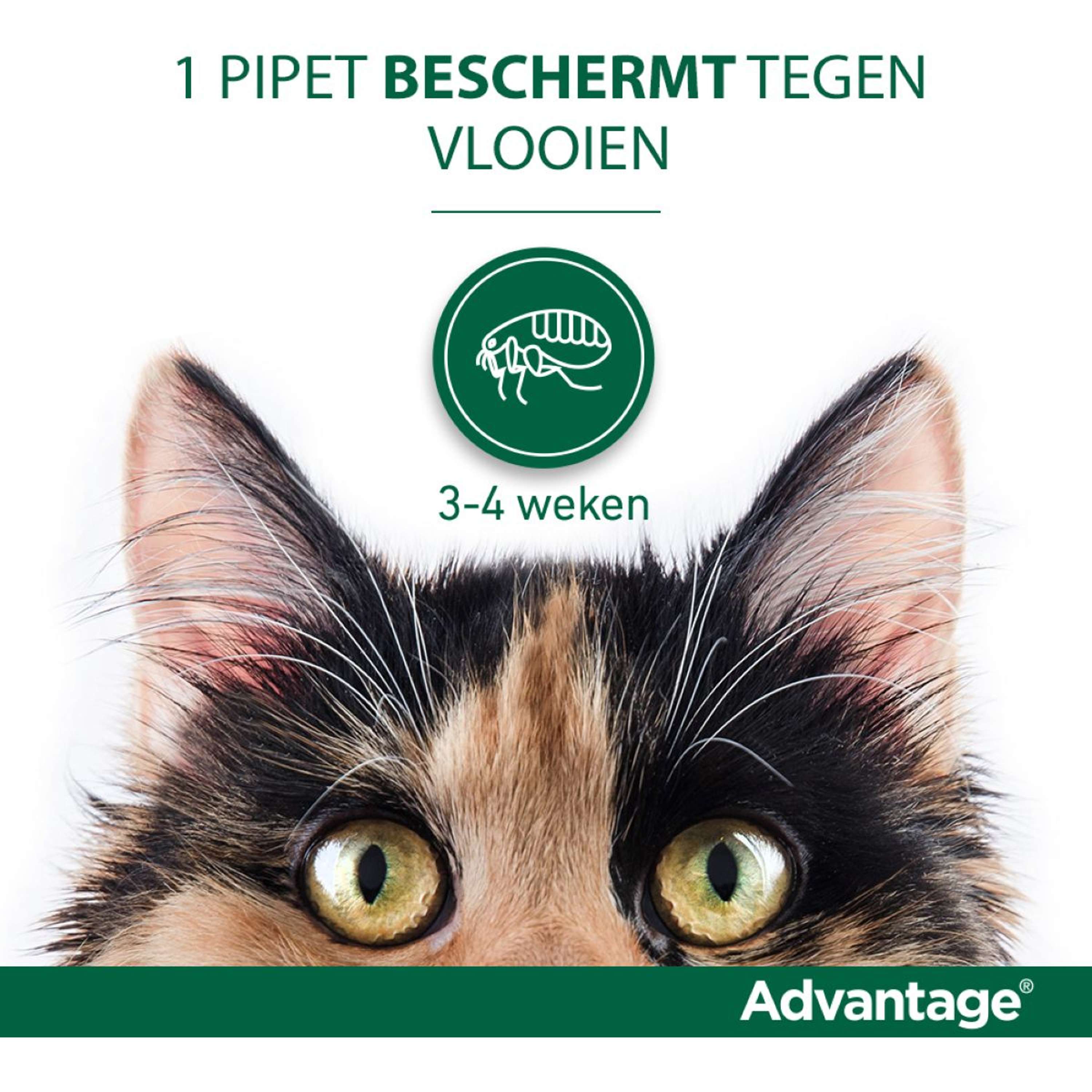 Advantage 40 Spot-On Kat <4kg