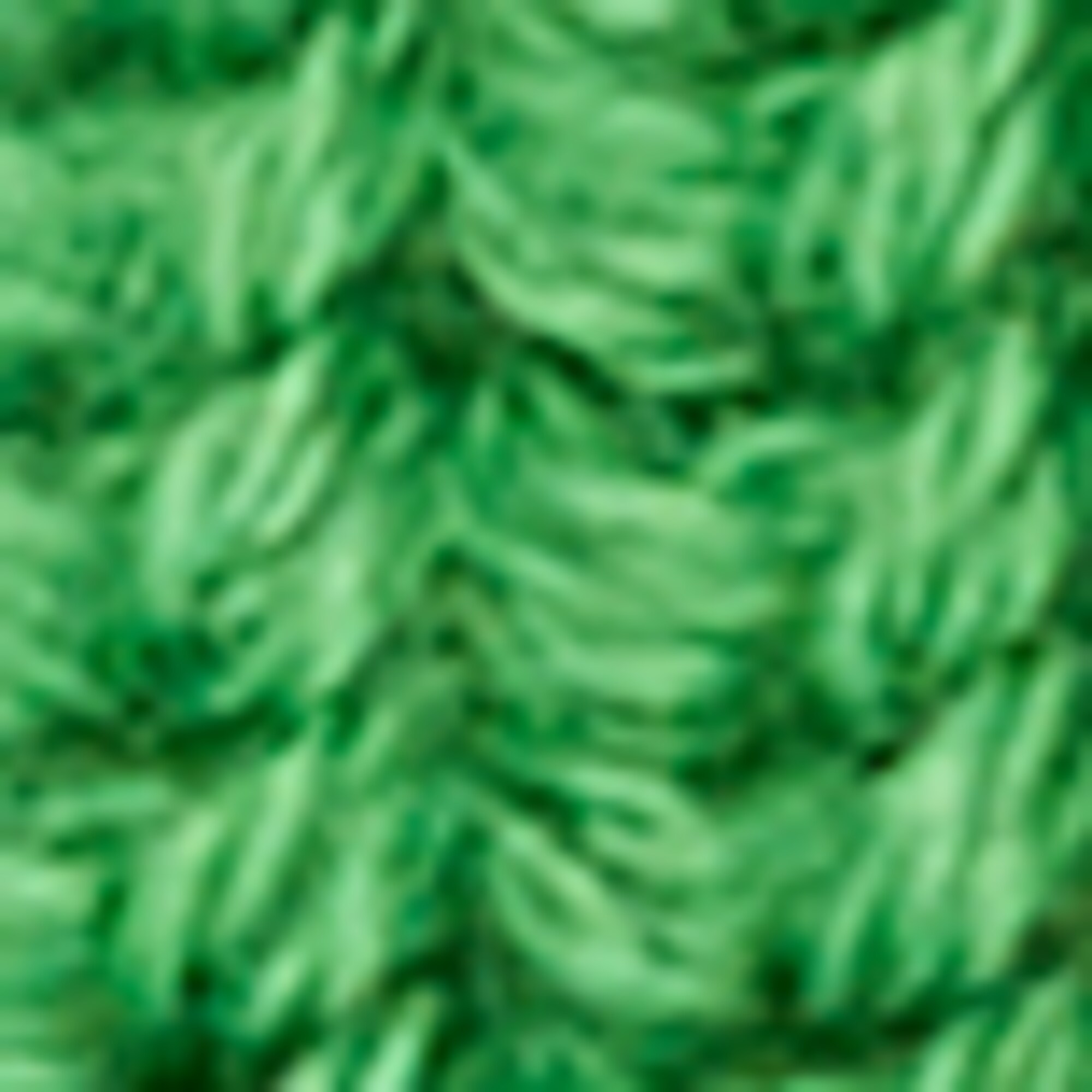 DfC Mütze aus Organic Cotton