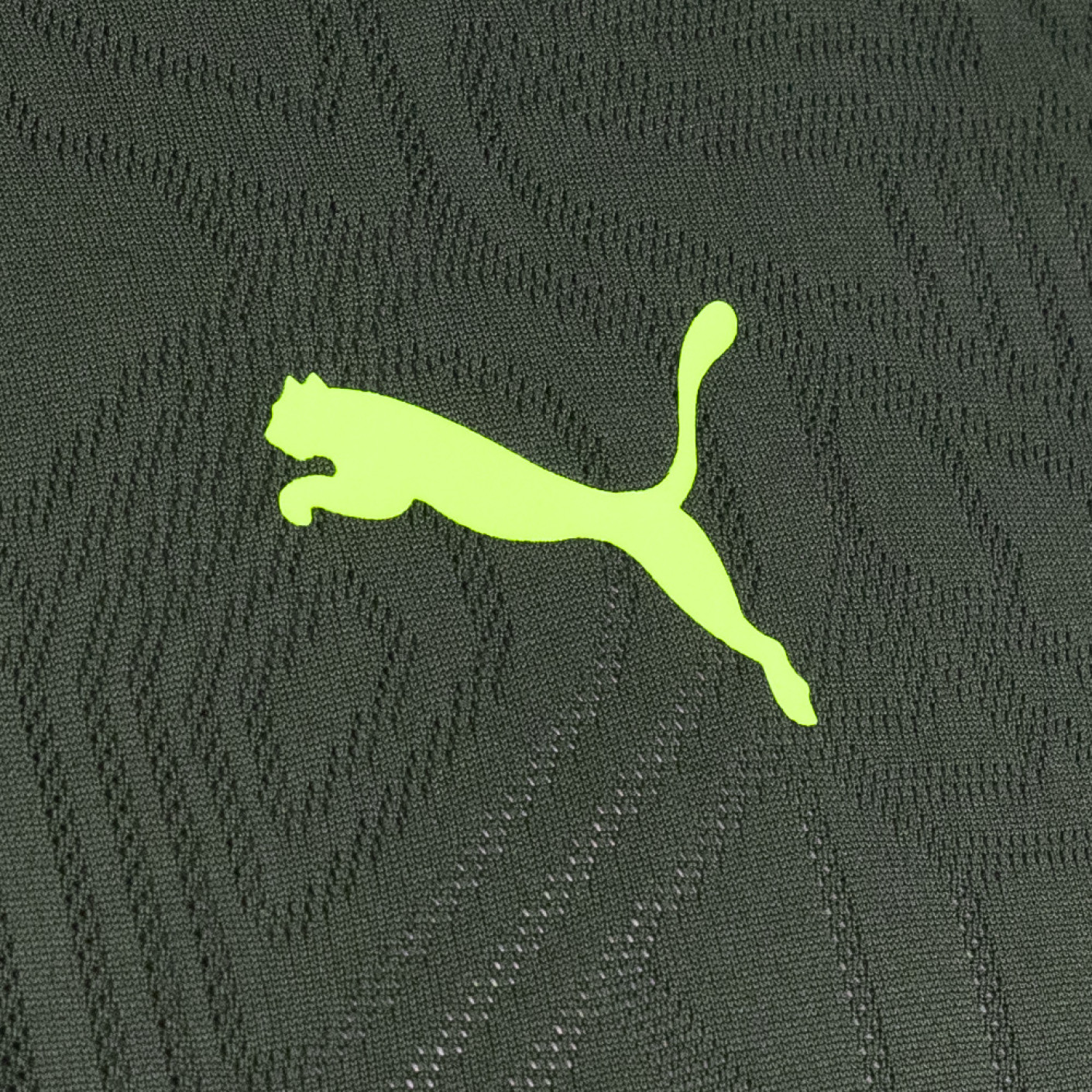 PUMA Borussia Dortmund Trainingsset 2024-2025 Groen Geel
