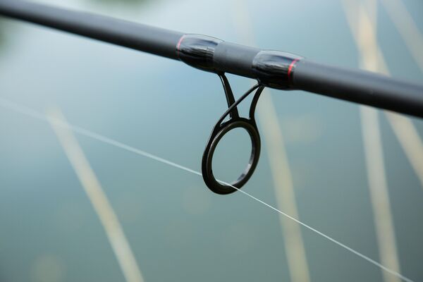 Canne Ultimate Adventure Carp II 12ft (2 Brins)