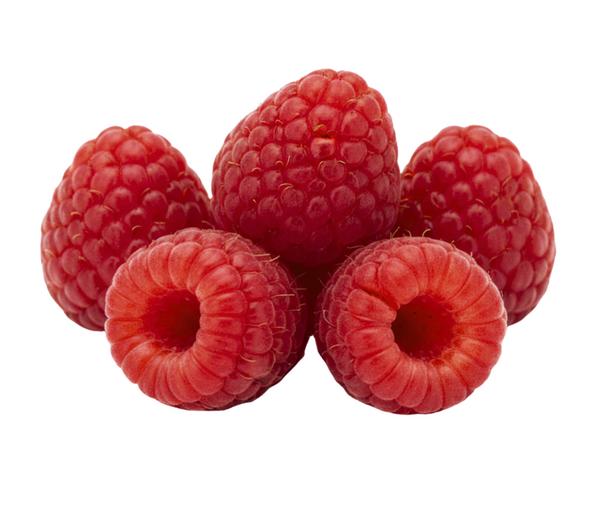 Bio Himbeere 'Autumn Belle'®