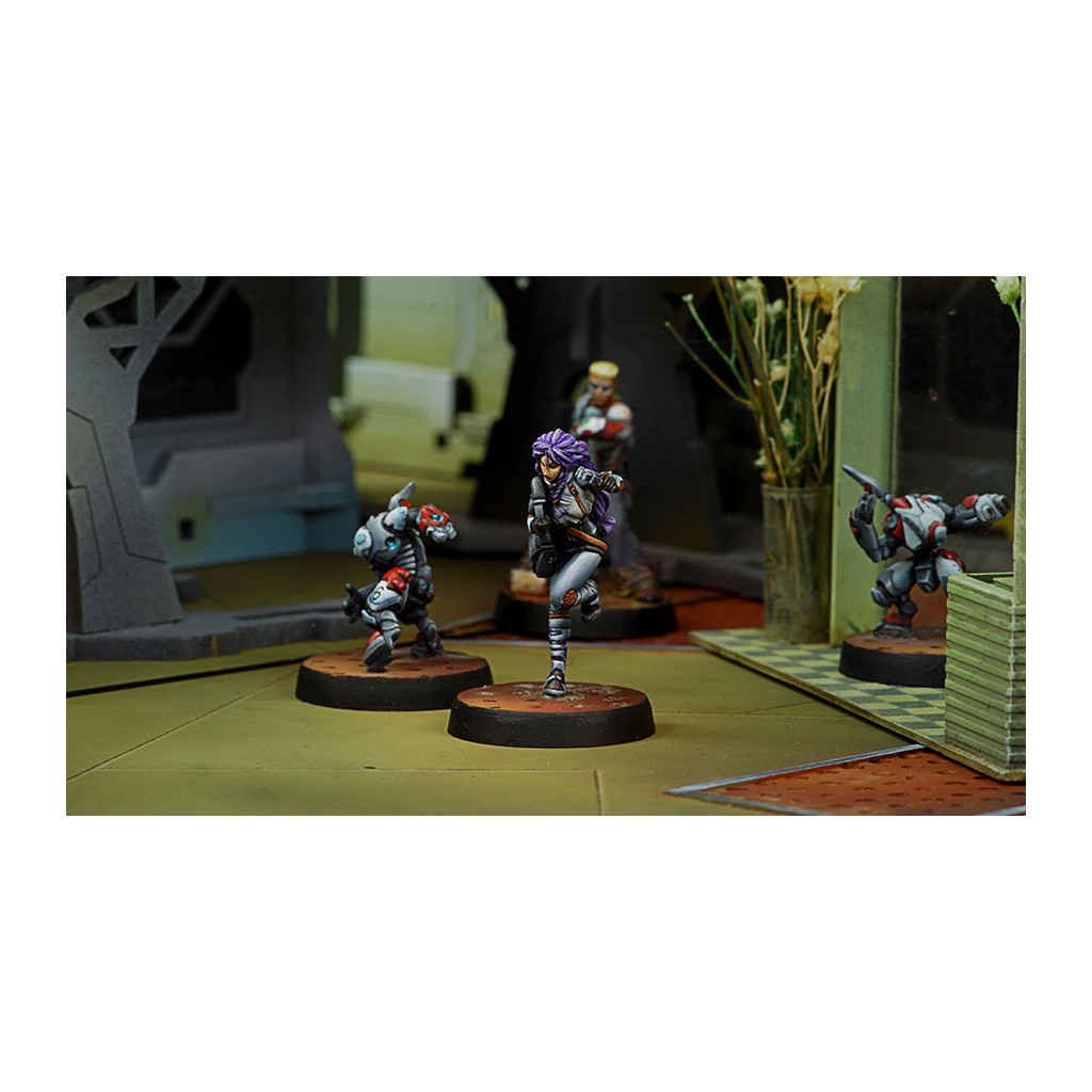 Infinity - Nomads - Support Pack