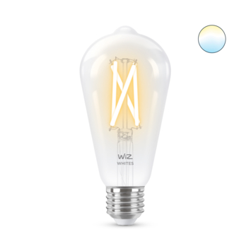 WiZ Connected LED edison E27 60W filament helder koel tot warmwit licht dimbaar