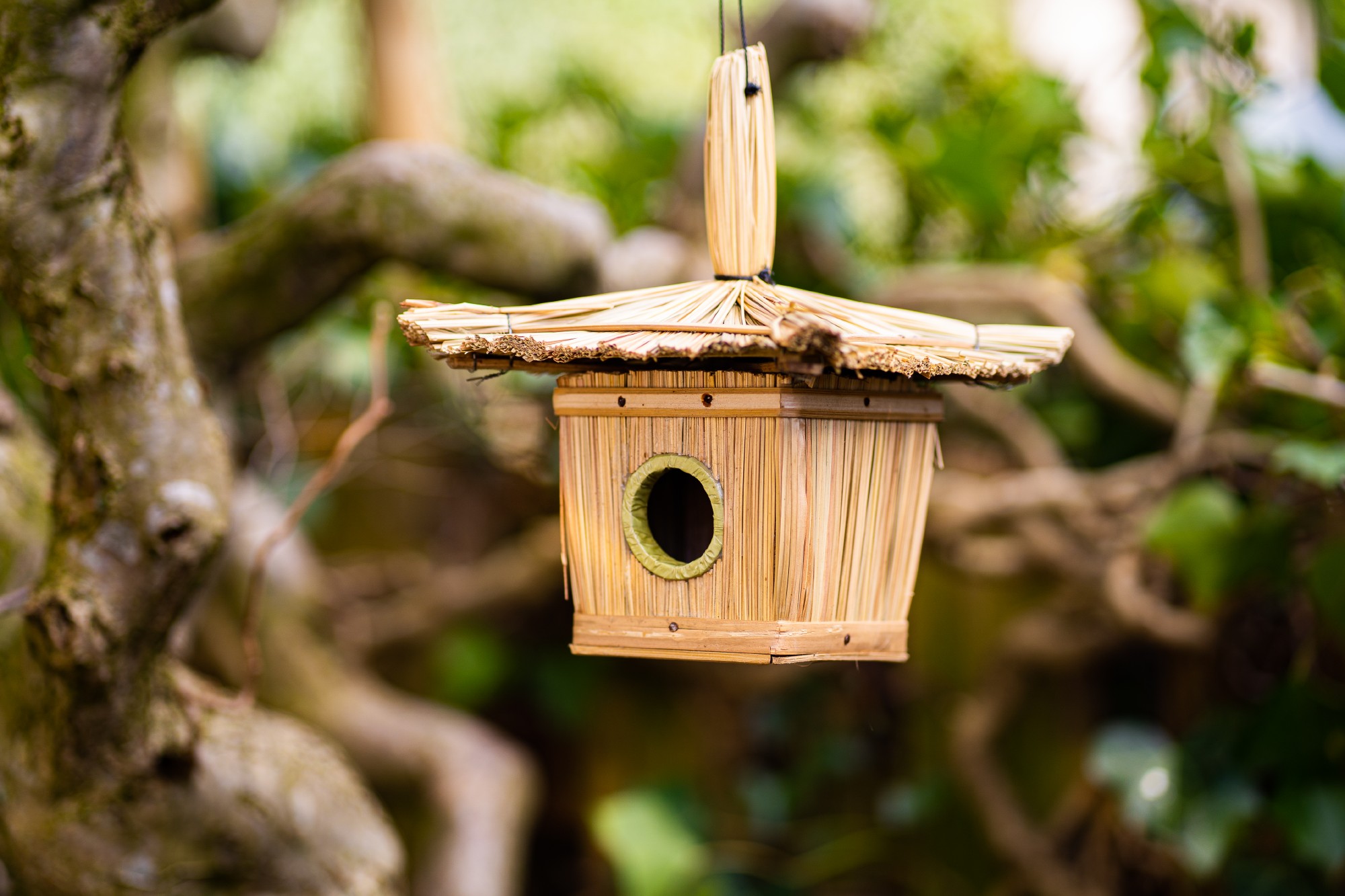 Vogelhaus aus Stroh, L 17 cm, B 17 cm, H 21 cm günstig bestellen