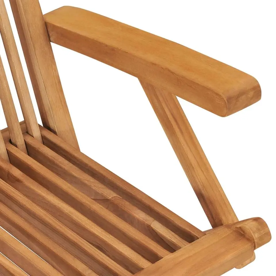 vidaXL - Tuinstoelen - Inklapbaar - Massief teakhout - 2 stuks