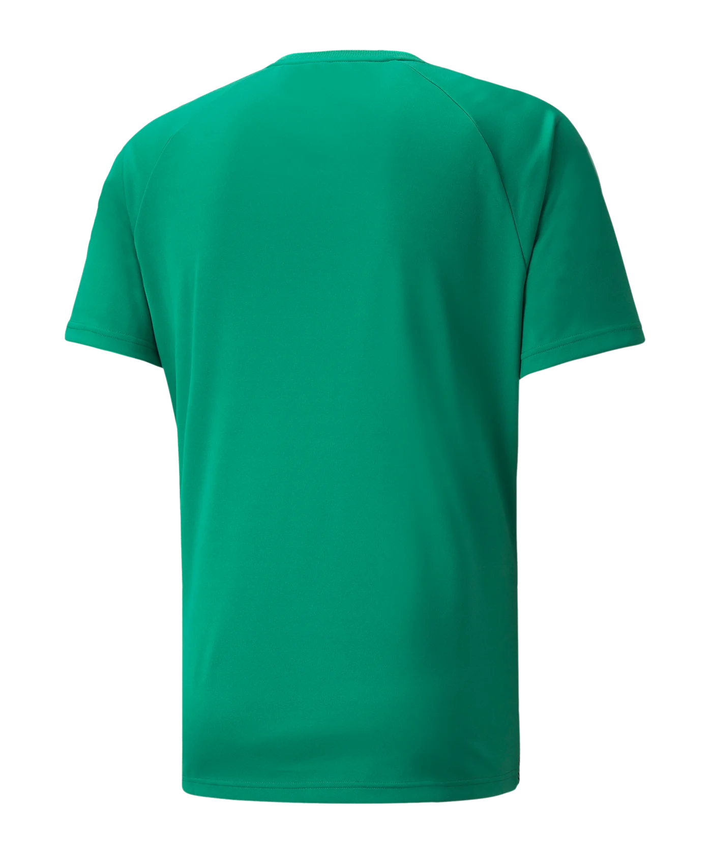 PUMA teamLIGA Striped Trikot Grün Schwarz F05