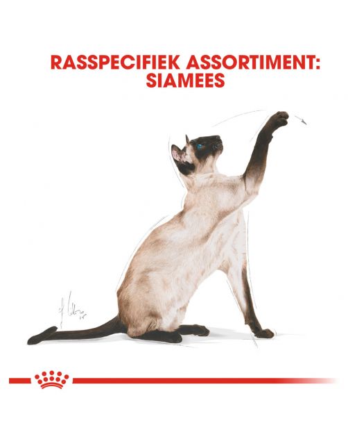 Royal Canin Siamese Adult - Kattenvoer