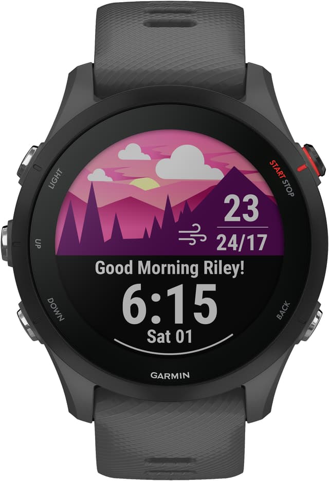 Garmin Forerunner 255 sportsur (grå)