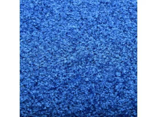 Paillasson lavable Bleu 40x60 cm