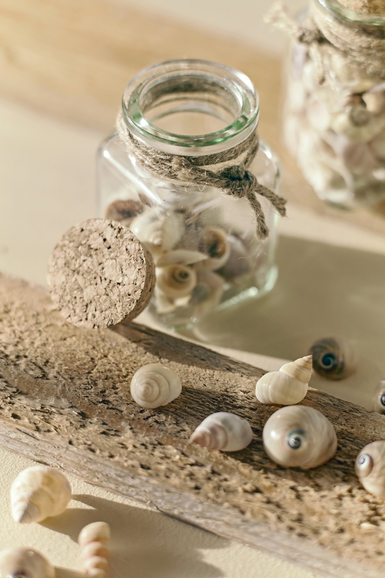 Muscheln & Schnecken im Glas, H 9 cm, B 5 cm, L 5 cm von fischer's lagerhaus