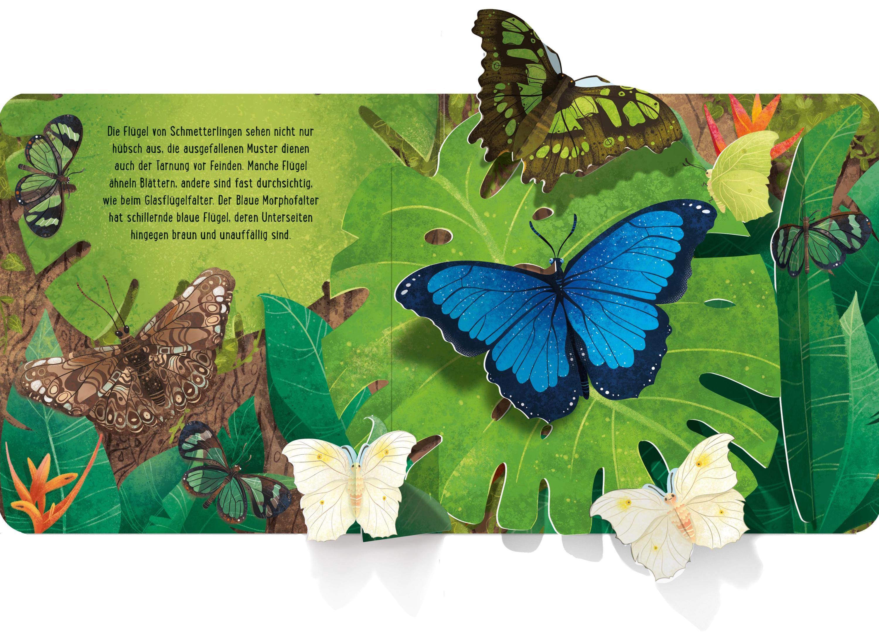 Schmetterlinge / Mein erstes Pop-up-Buch Bd.5