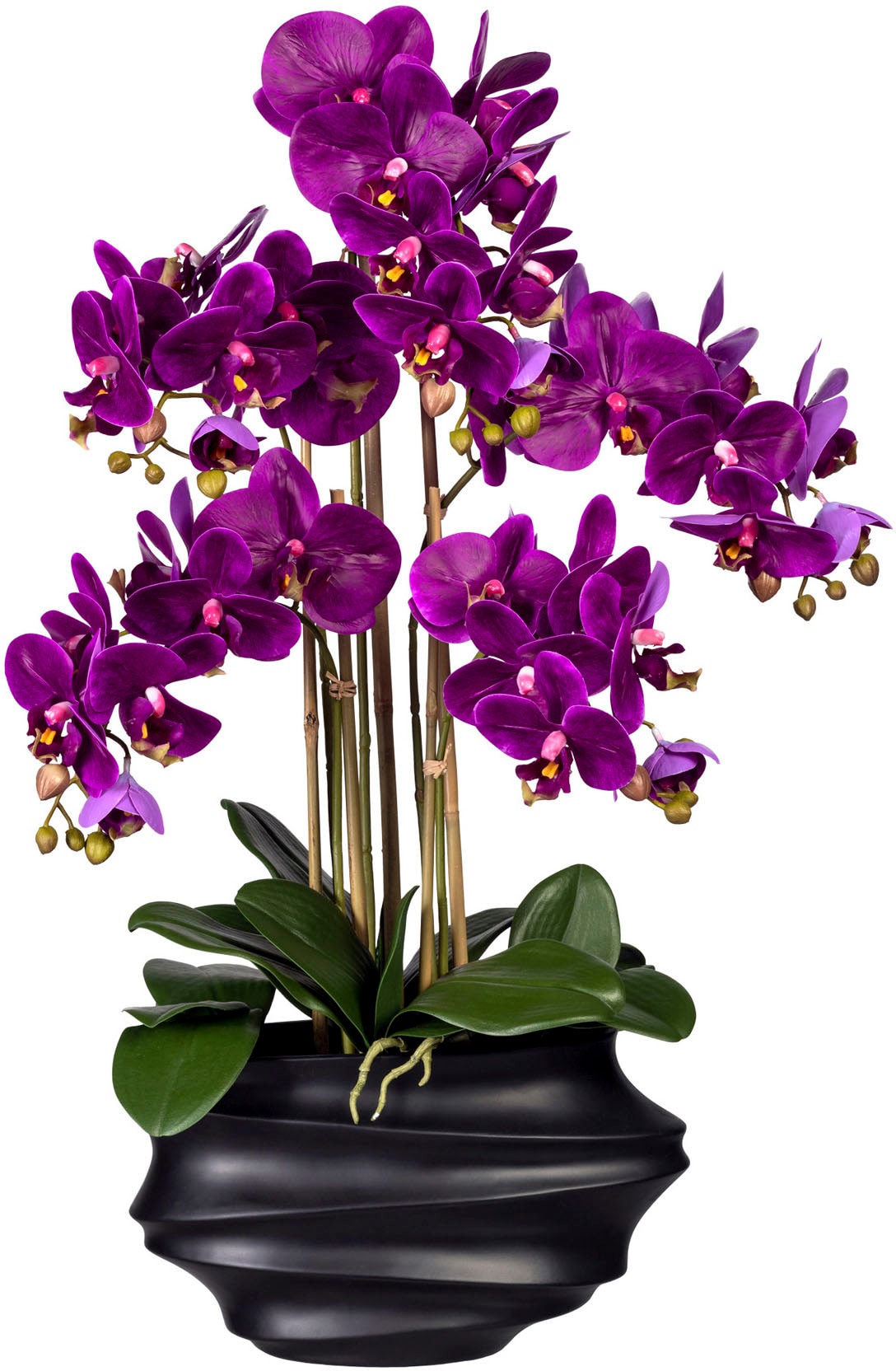 Creativ green Kunstorchidee »Phalaenopsis« in Design-Kunststoffvase