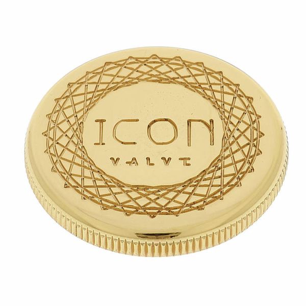 B&S ICON VALVE 