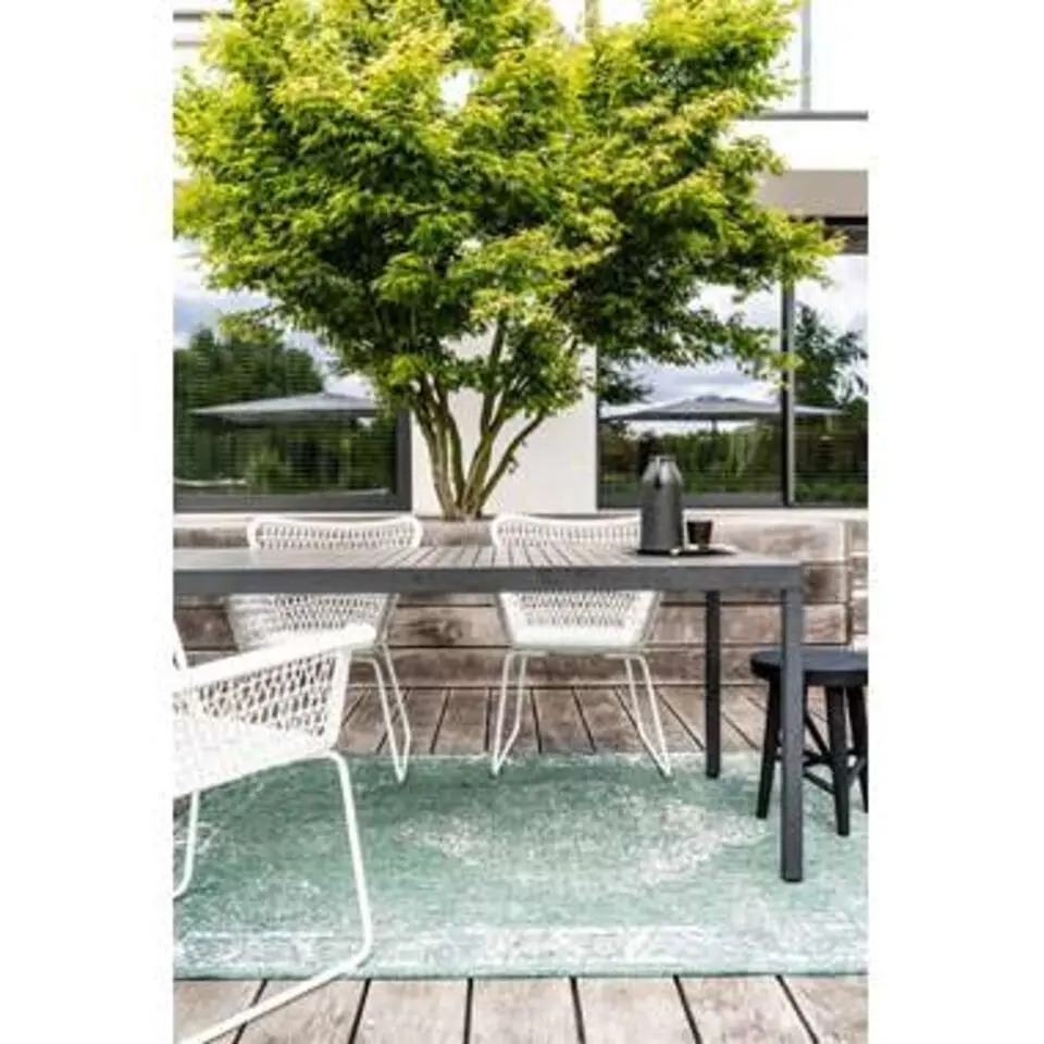 Eva Interior Buiten vloerkleed - Sage- Groen- 280x380 cm