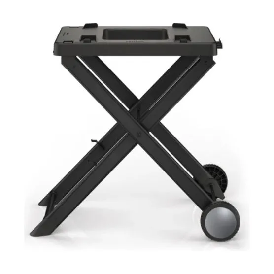 Ninja Woodfire Grillstativ
