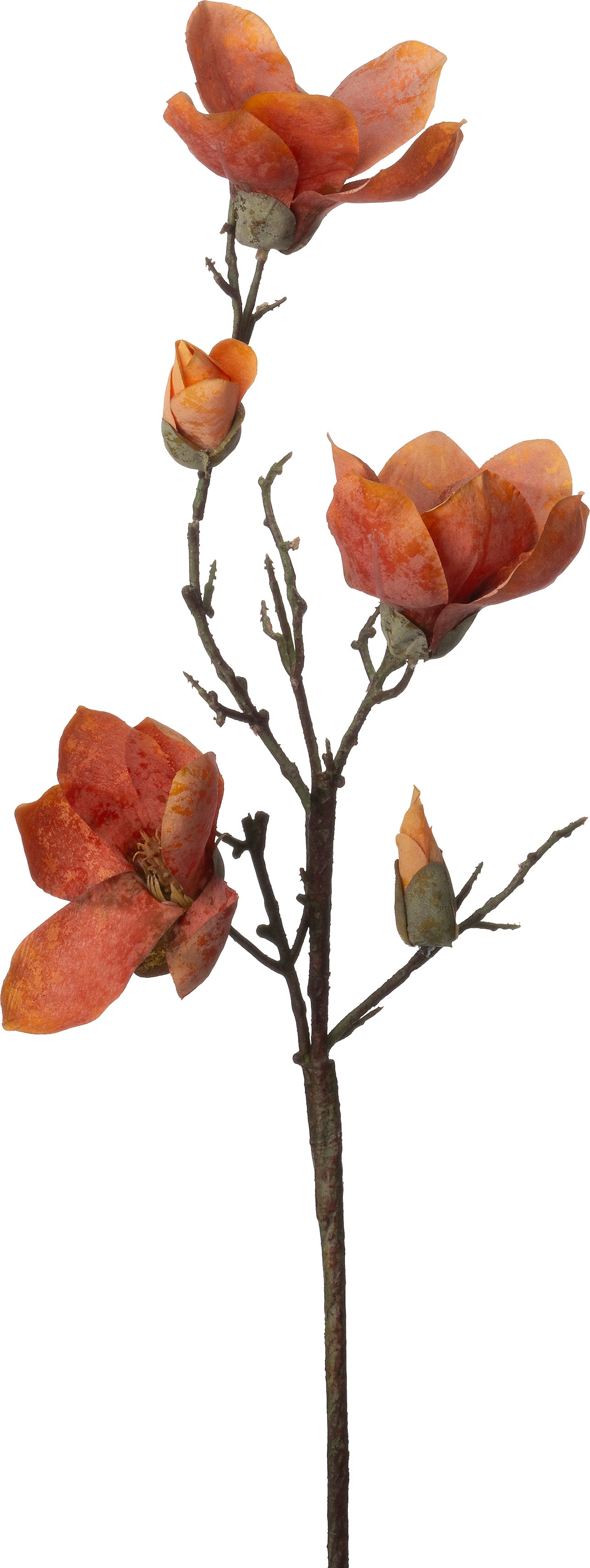 Intratuin kunstbloem Magnolia oranje 84 cm