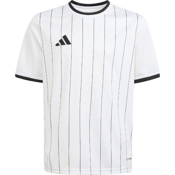 adidas Entrada 26 GFX Trainingsset