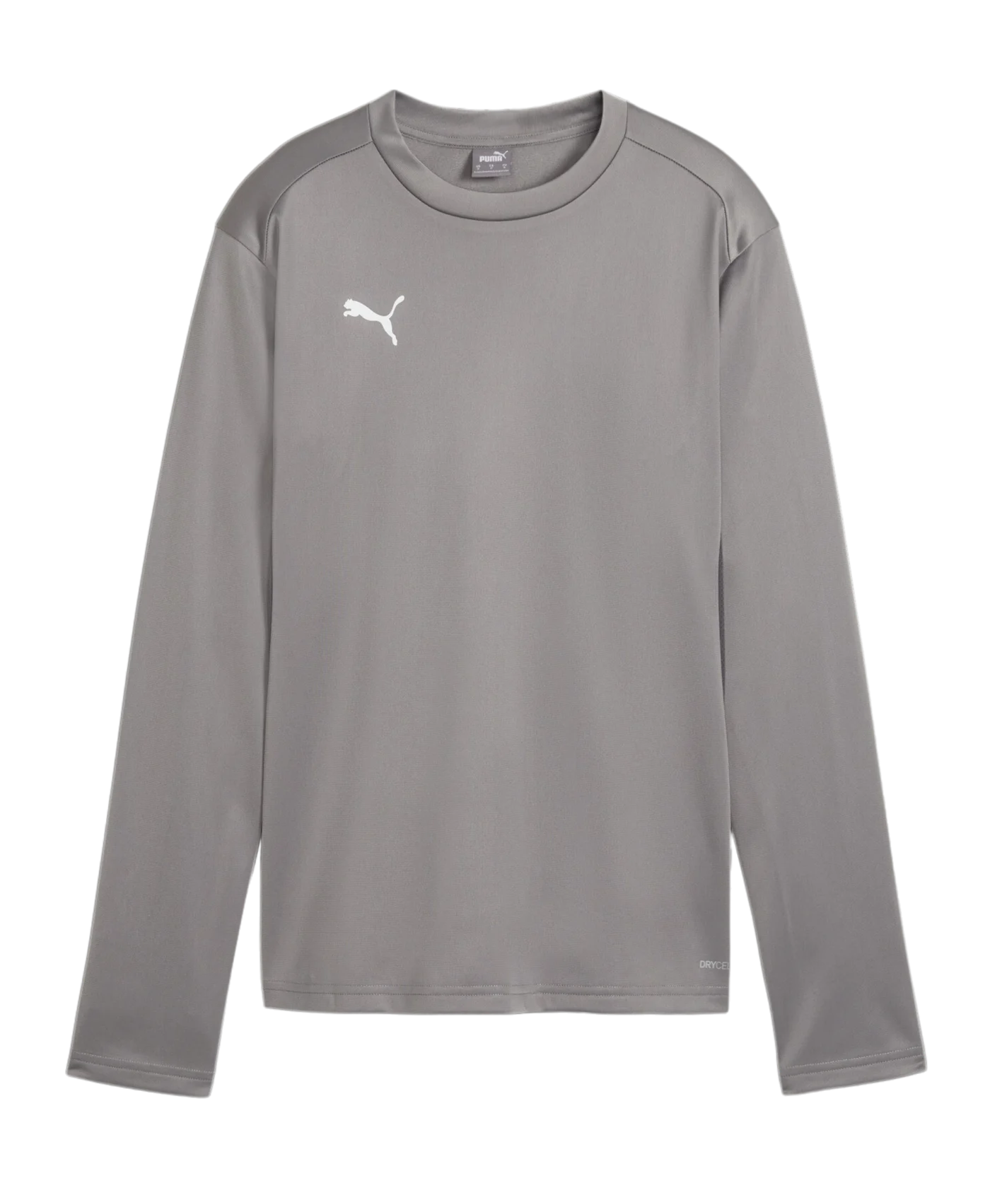 PUMA teamGOAL Training Sweatshirt Damen Grau F13