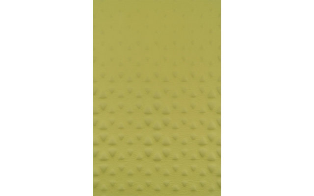 Sea to Summit Camp Self Inflating Sleeping Mat