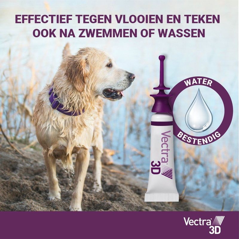 VECTRA 3D Hond - vanaf 40kg - Anti Teken- en Vlooiendruppels hond - 3 pipetten