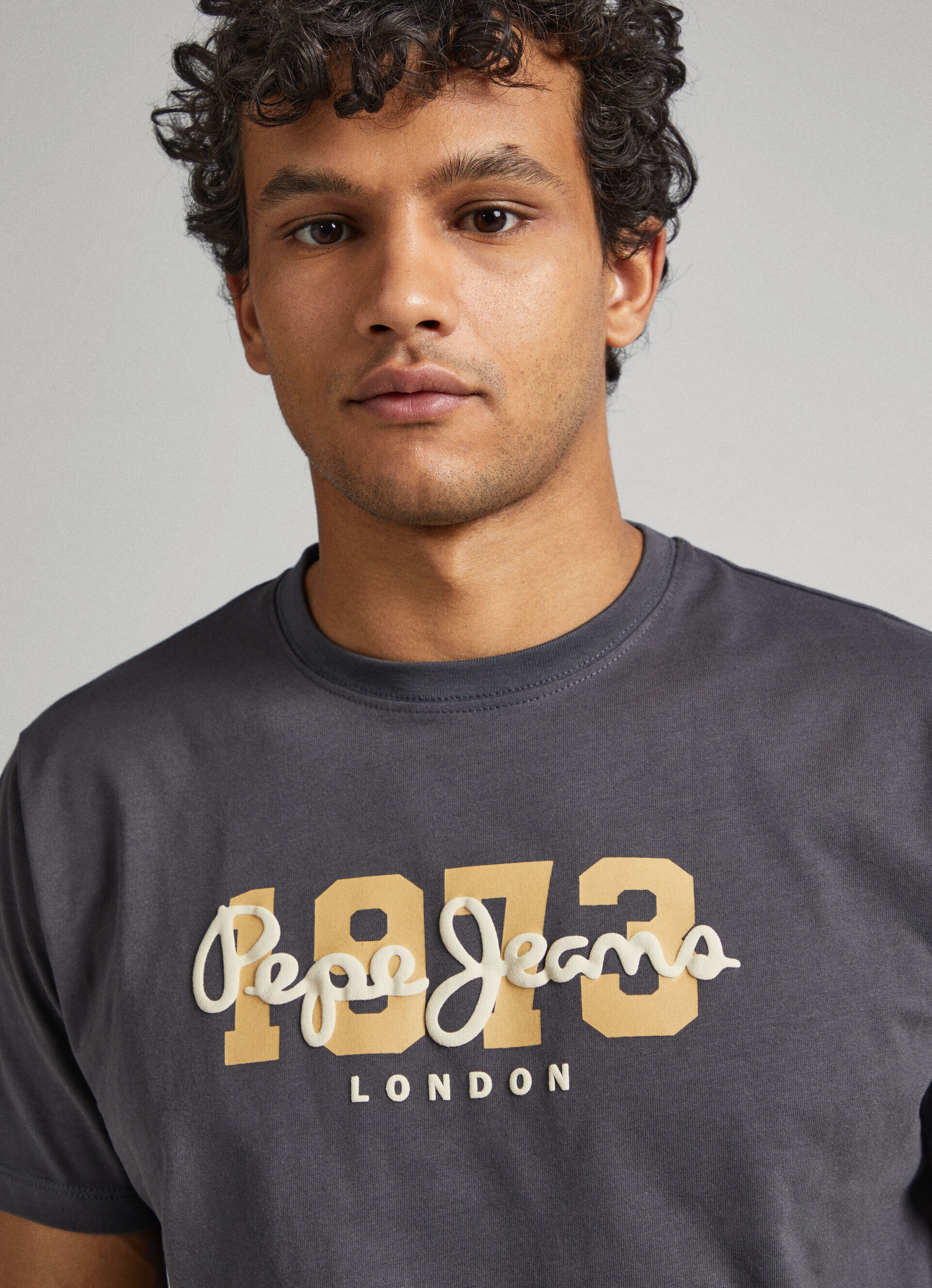 Camiseta com o logotipo de 1973 - cinza trovão
