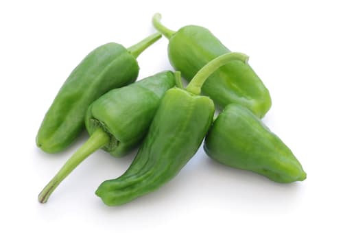 Pimientos de Padrón - Bratpaprika, Beutel
