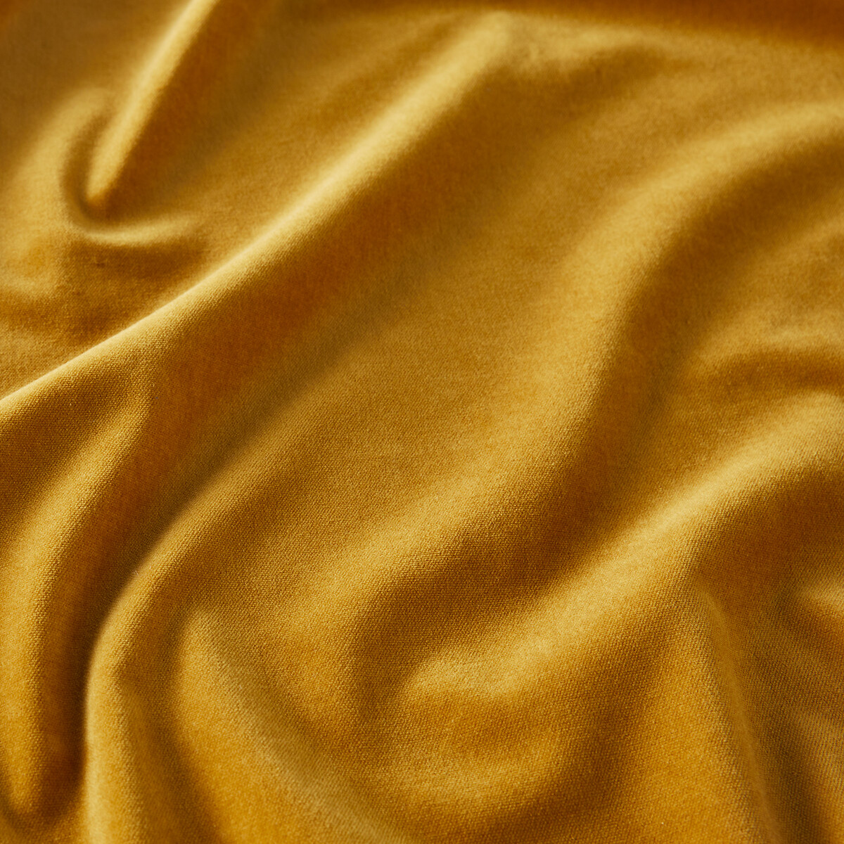 LA REDOUTE INTERIEURS<br>Cortina de veludo com debrum franzido, Veludo