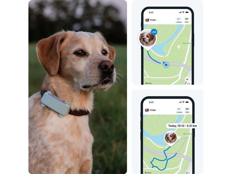 tractive GPS-Tracker DOG 6 Mint GPS Tracker für Hunde