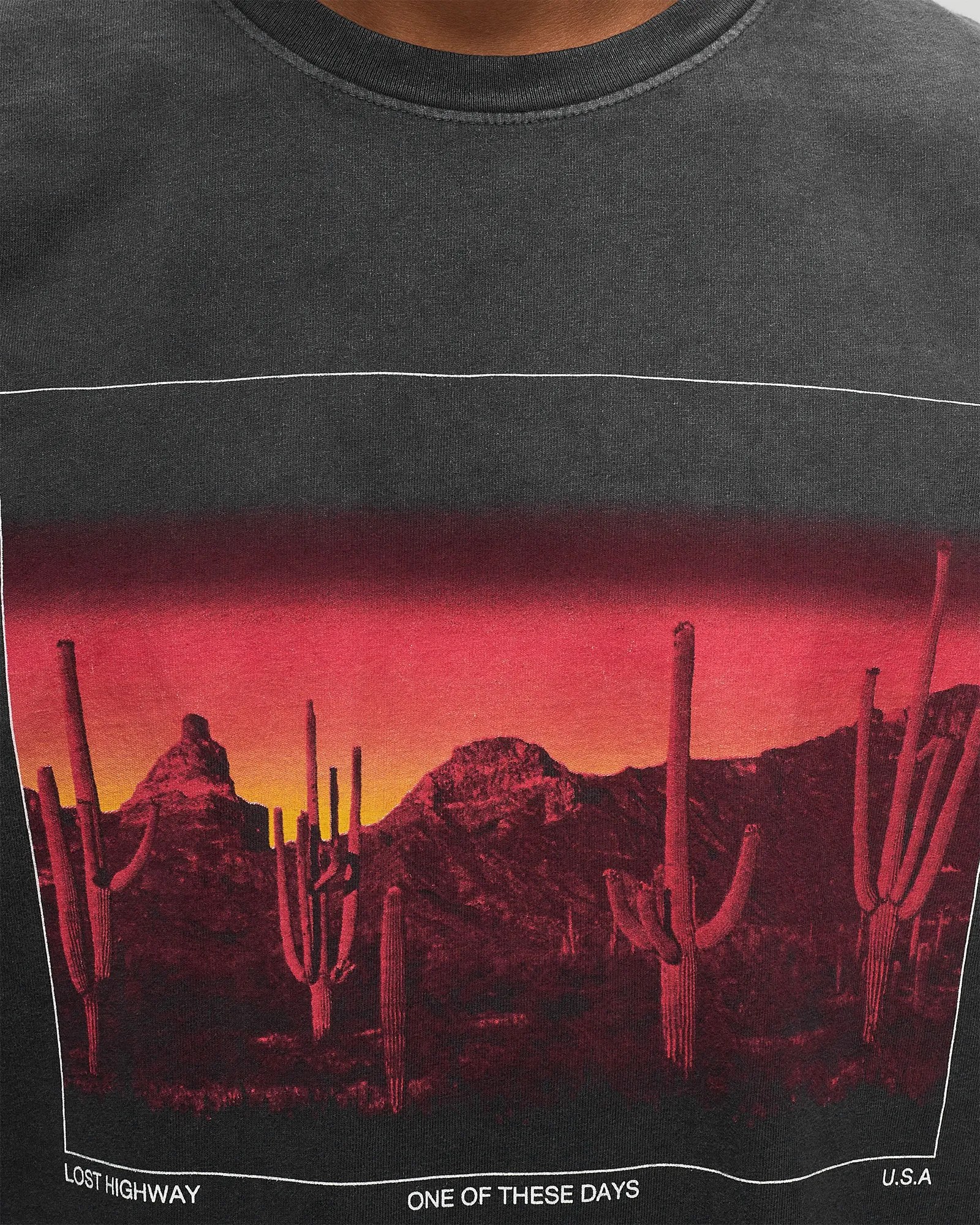 One of these Days BURNING LANDSCAPE TEE