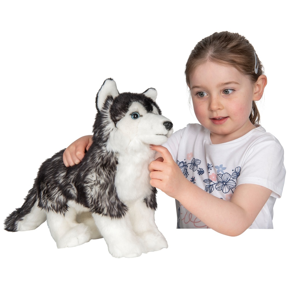 33 cm Finn, der Husky-Hund, Plüschtier