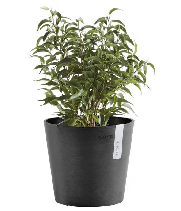 Ecopots Kunststoff-Topf Amsterdam Mini, rund,