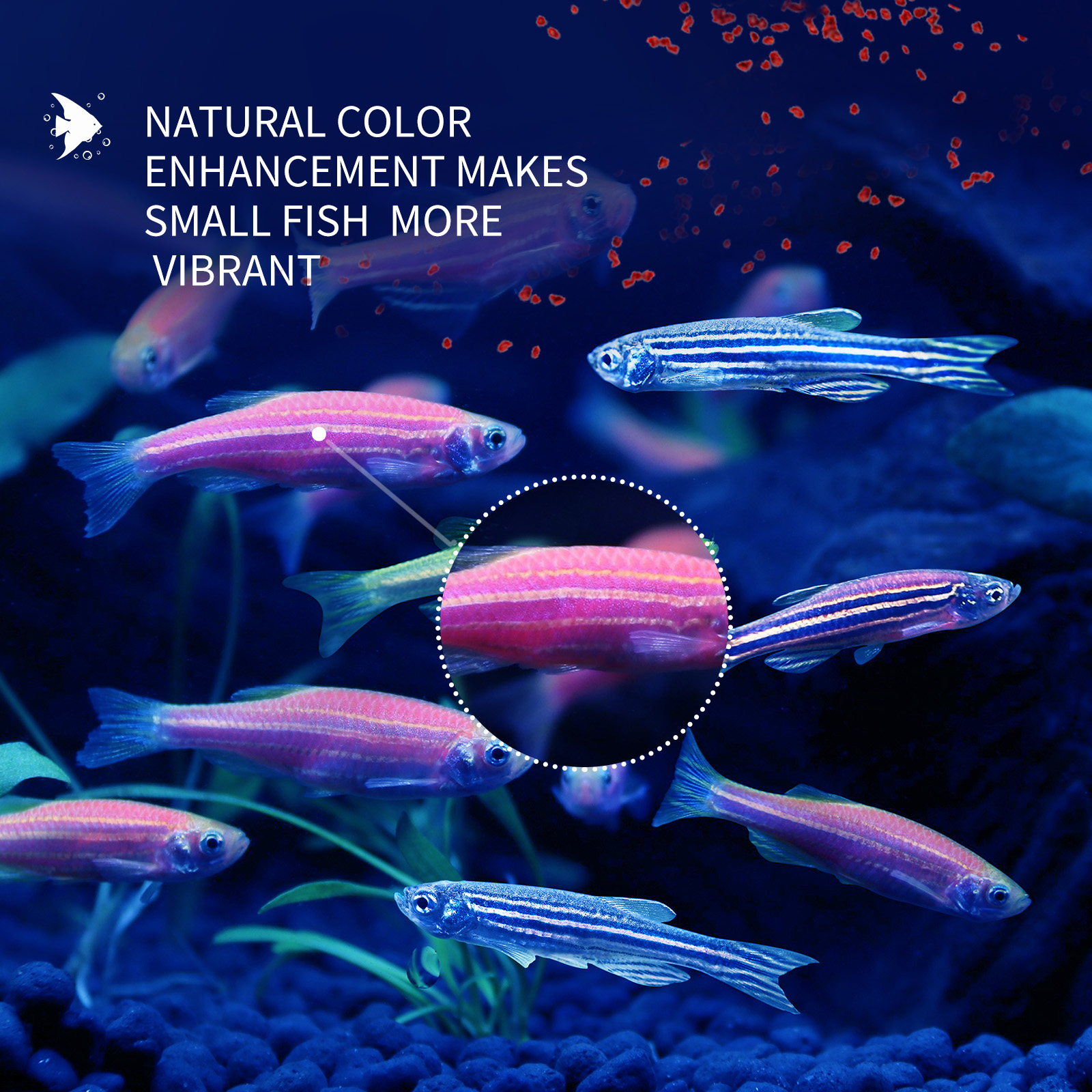 Nobleza - Alimento para Peixes Pequenos, Grânulos Macios de Afundamento Lento, 45g/100ml
