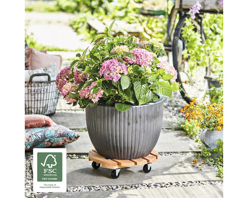 Wagner Toscane plantenwagen, grenen, Ø 38 cm, draagvermogen 150 kg